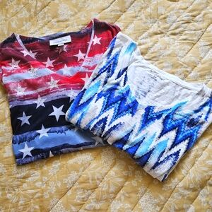 2X V neck tee bundle NWOT